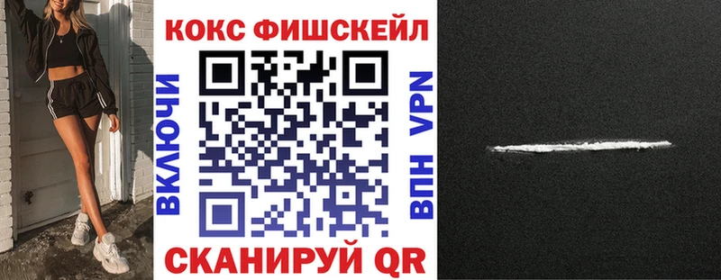 Cocaine FishScale  Купить  Вологда 