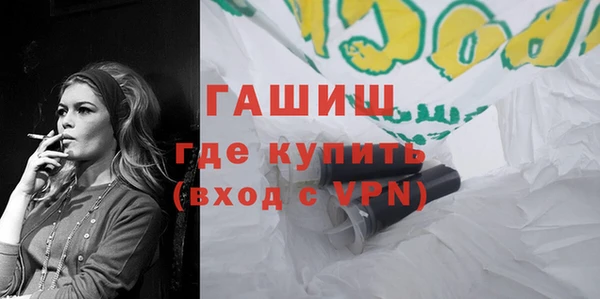 гашик Алексин
