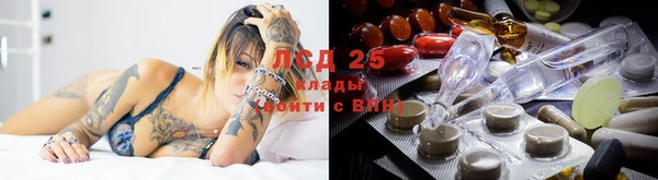 гашик Алексин