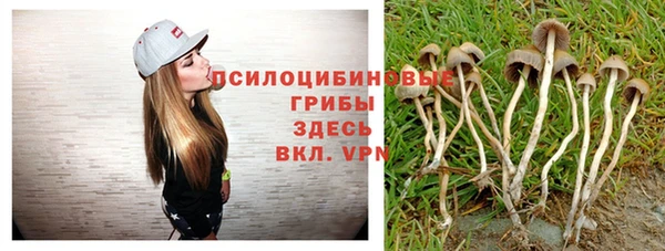 кристаллы Алзамай