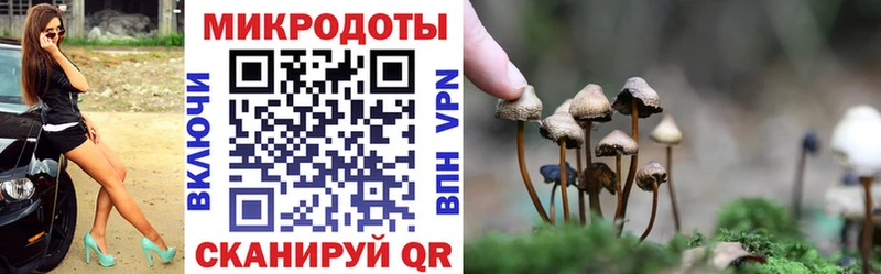 Псилоцибиновые грибы MAGIC MUSHROOMS Купить где Вологда